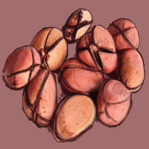 Cultural Experience 7 Installments